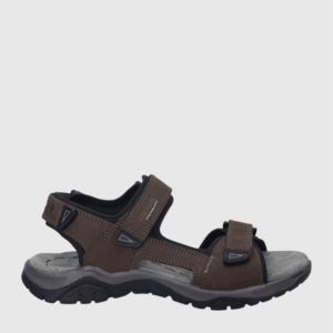57202 ARLO 02 JOSEF SEIBEL