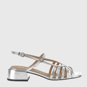 222480 KARA STONEFLY